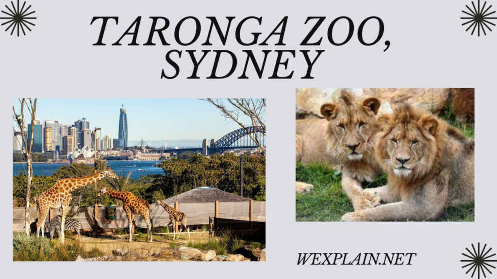 Taronga zoo, Sydney 